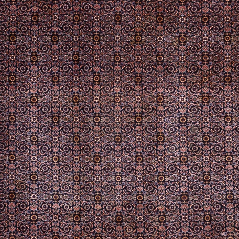 Bidjar - Takab Teppich 252x349cm - Perserteppich - dunkelbeige