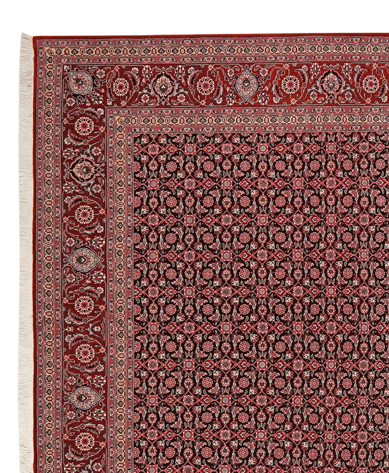 Tabriz 50 Raj · Handgeknüpft – Schwarz, 289x202 cm