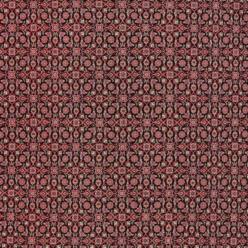 Tabriz 50 Raj · Handgeknüpft – Schwarz, 289x202 cm