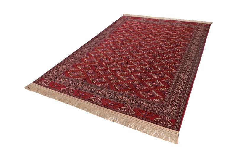 Turkman · Handgeknüpft – Rot, 273x185 cm