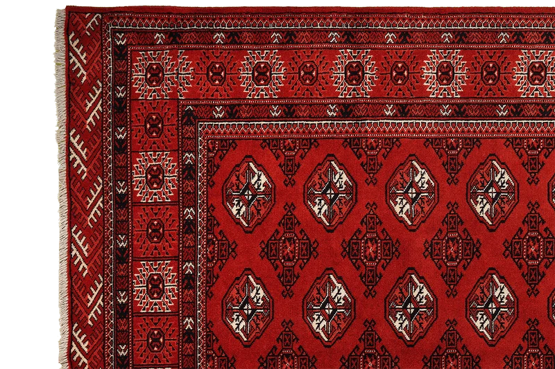Turkman · Handgeknüpft – Rot, 294x210 cm
