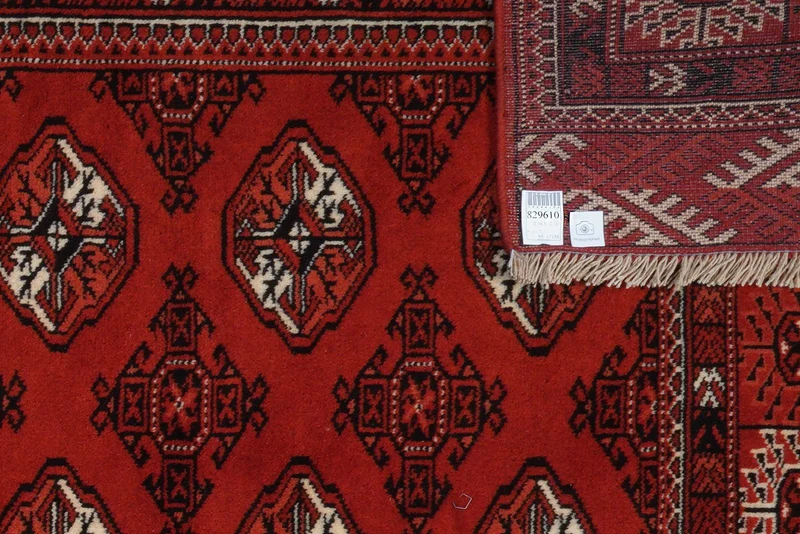 Turkman · Handgeknüpft – Rot, 294x210 cm