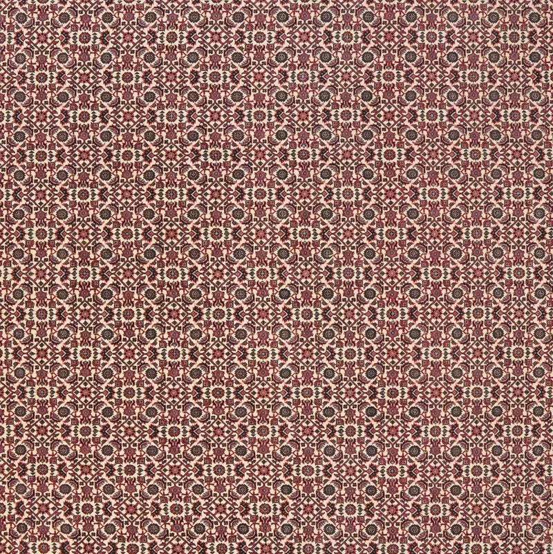 Bidjar · Handgeknüpft – Beige, 248x207 cm