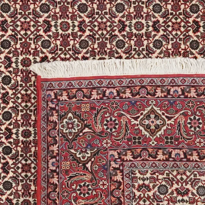 Bidjar · Handgeknüpft – Beige, 248x207 cm