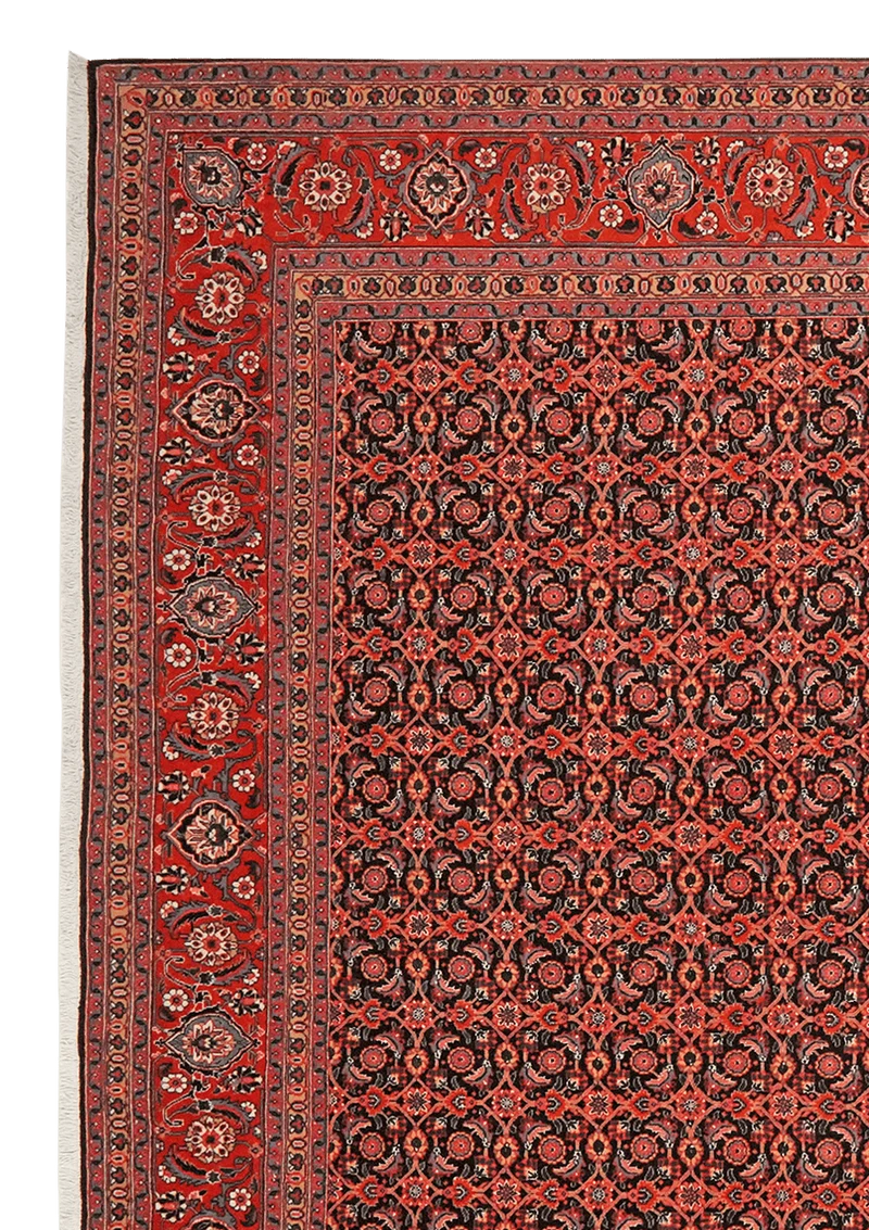 Tabriz 50 Raj · Handgeknüpft – Schwarz, 297x202 cm