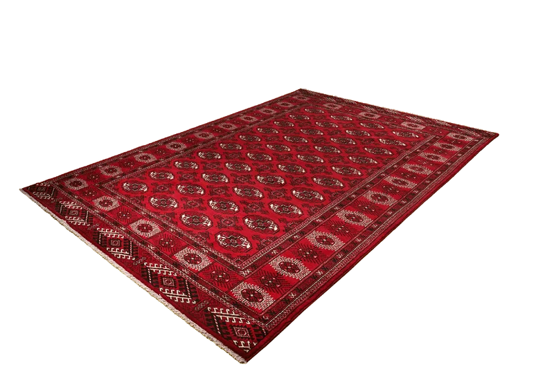 Turkman · Handgeknüpft – Rot, 286x199 cm