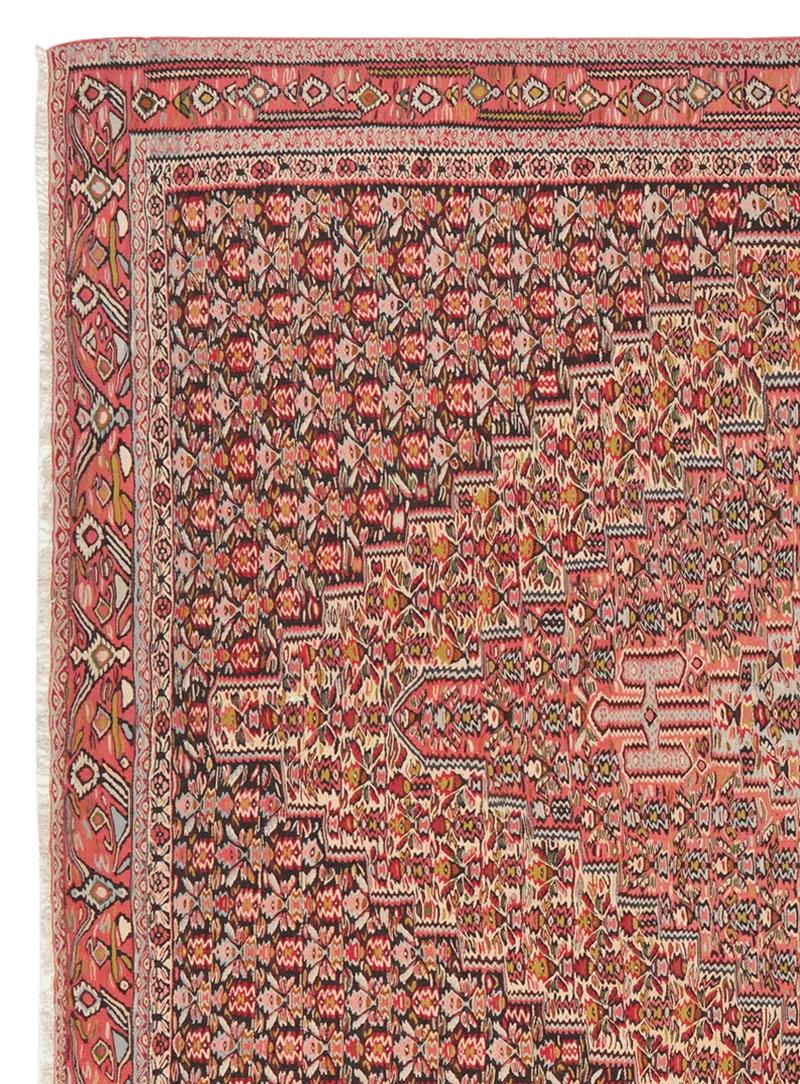 Kelim Senneh · Handgewebt – Bunt, 340x242 cm