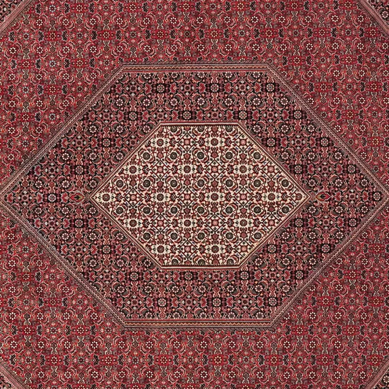 Bidjar · Handgeknüpft – Rot, 308x254 cm