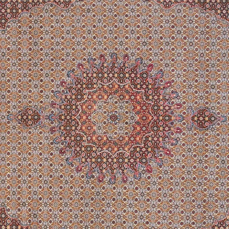 Moud Mahi · Handgeknüpft – Braun, 335x247 cm