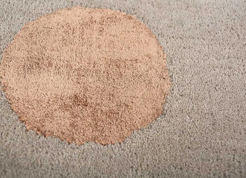 Wollteppich - 60 x 90 cm - beige