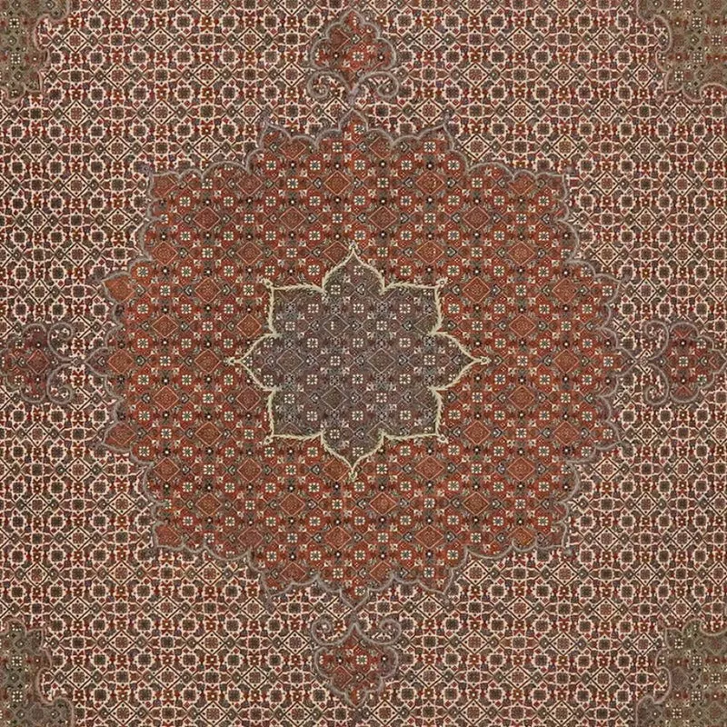 Tabriz 50 Raj · Handgeknüpft – Braun, 248x244 cm