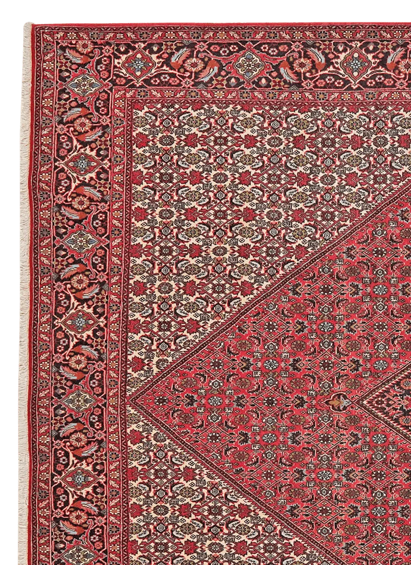 Bidjar Zandjan · Handgeknüpft – Rot, 301x249 cm