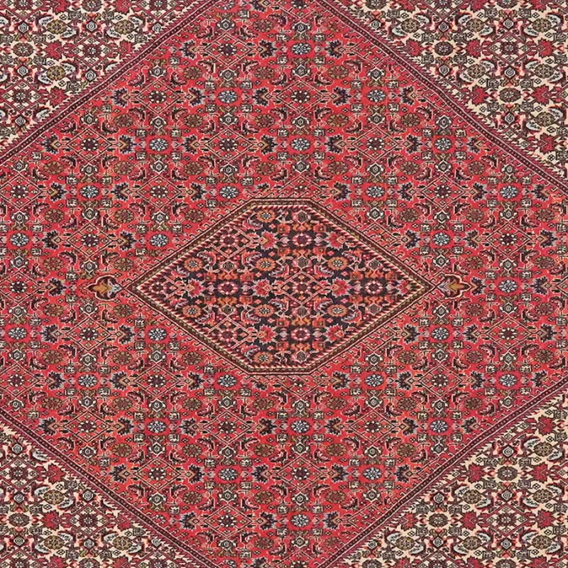 Bidjar Zandjan · Handgeknüpft – Rot, 301x249 cm