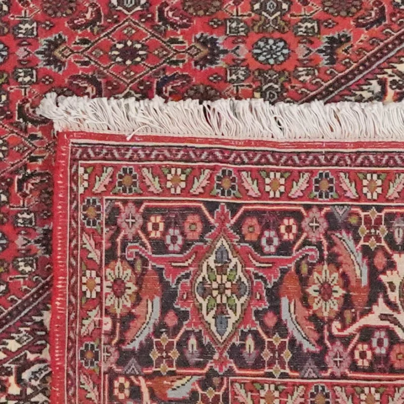 Bidjar Zandjan · Handgeknüpft – Rot, 301x249 cm