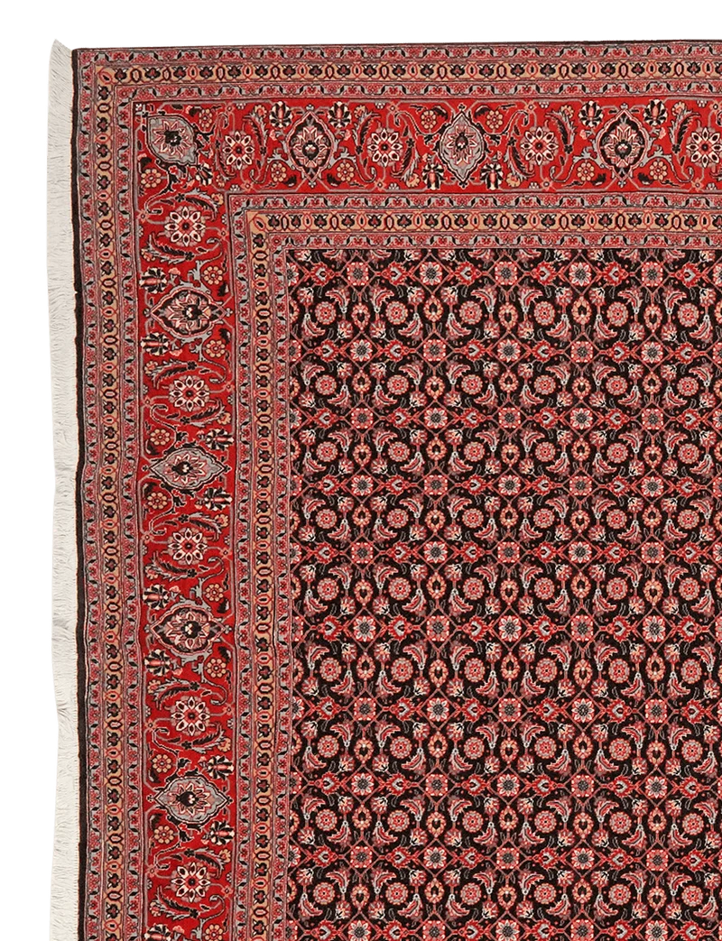 Tabriz 50 Raj · Handgeknüpft – Orange, 294x199 cm