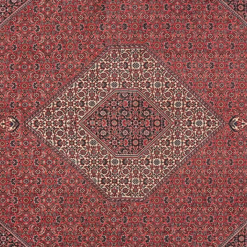 Bidjar · Handgeknüpft – Rot, 268x254 cm