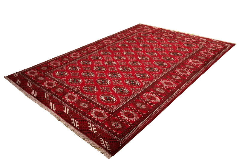 Turkman · Handgeknüpft – Rot, 282x198 cm