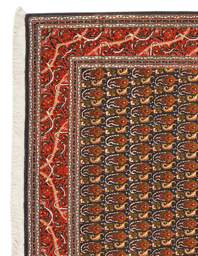 Tabriz 50 Raj · Handgeknüpft – Schwarz, 151x102 cm