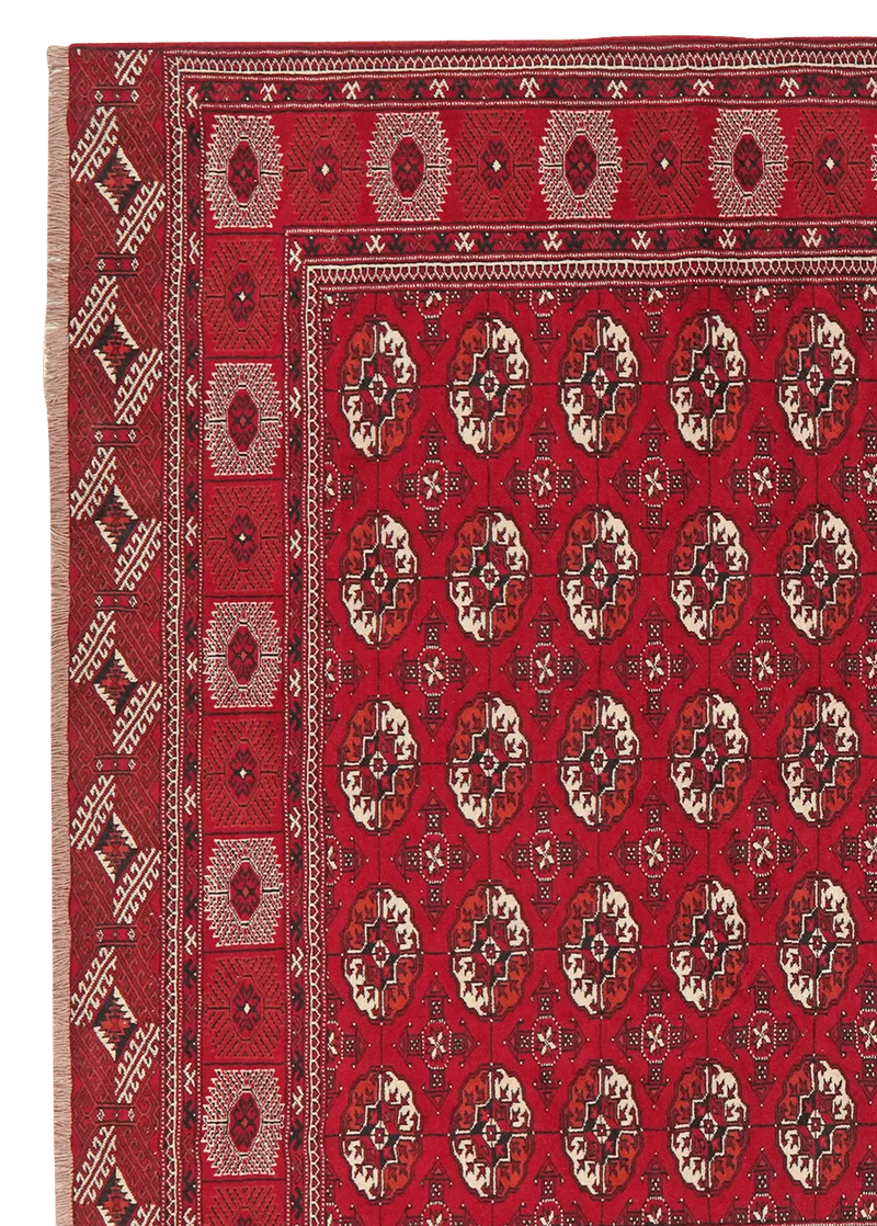Turkman · Handgeknüpft – Rot, 333x234 cm