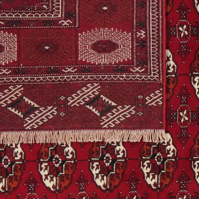 Turkman · Handgeknüpft – Rot, 333x234 cm
