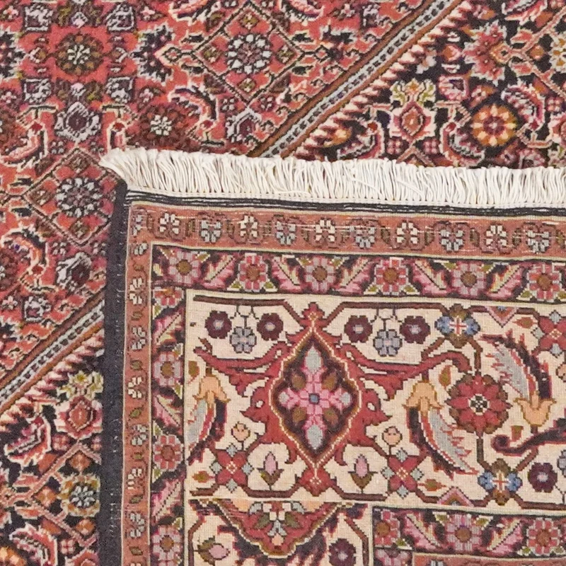 Bidjar · Handgeknüpft – Beige, 246x204 cm