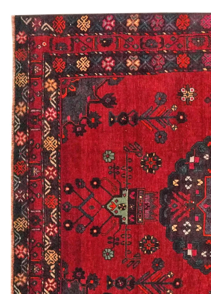 Kordibaf · Handgeknüpft – Rot, 341x214 cm