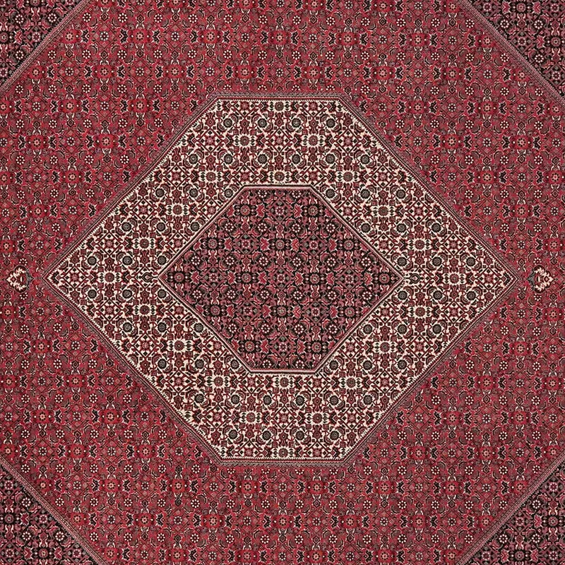 Bidjar · Handgeknüpft – Rot, 303x248 cm