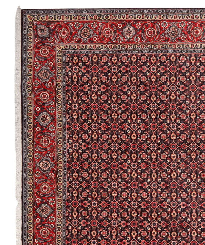 Tabriz 50 Raj · Handgeknüpft – Schwarz, 309x202 cm