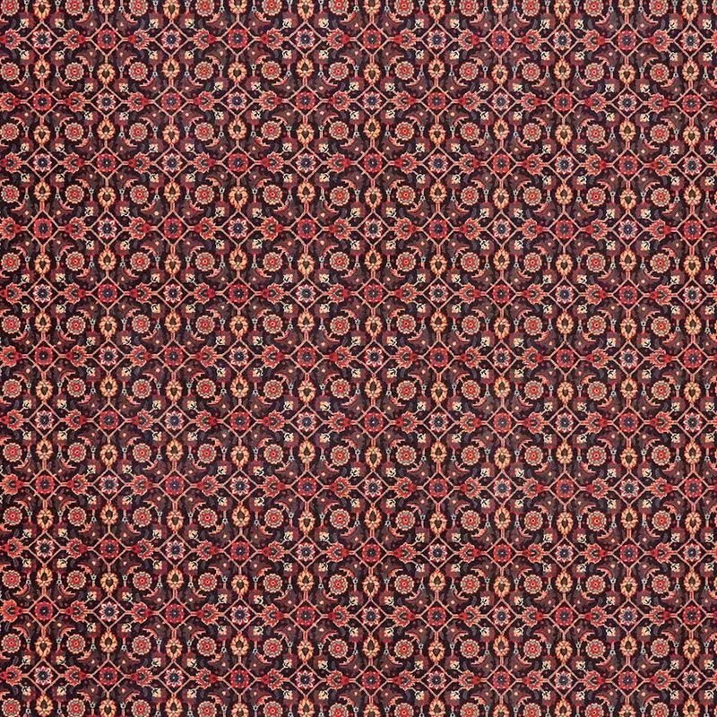 Tabriz 50 Raj · Handgeknüpft – Schwarz, 309x202 cm