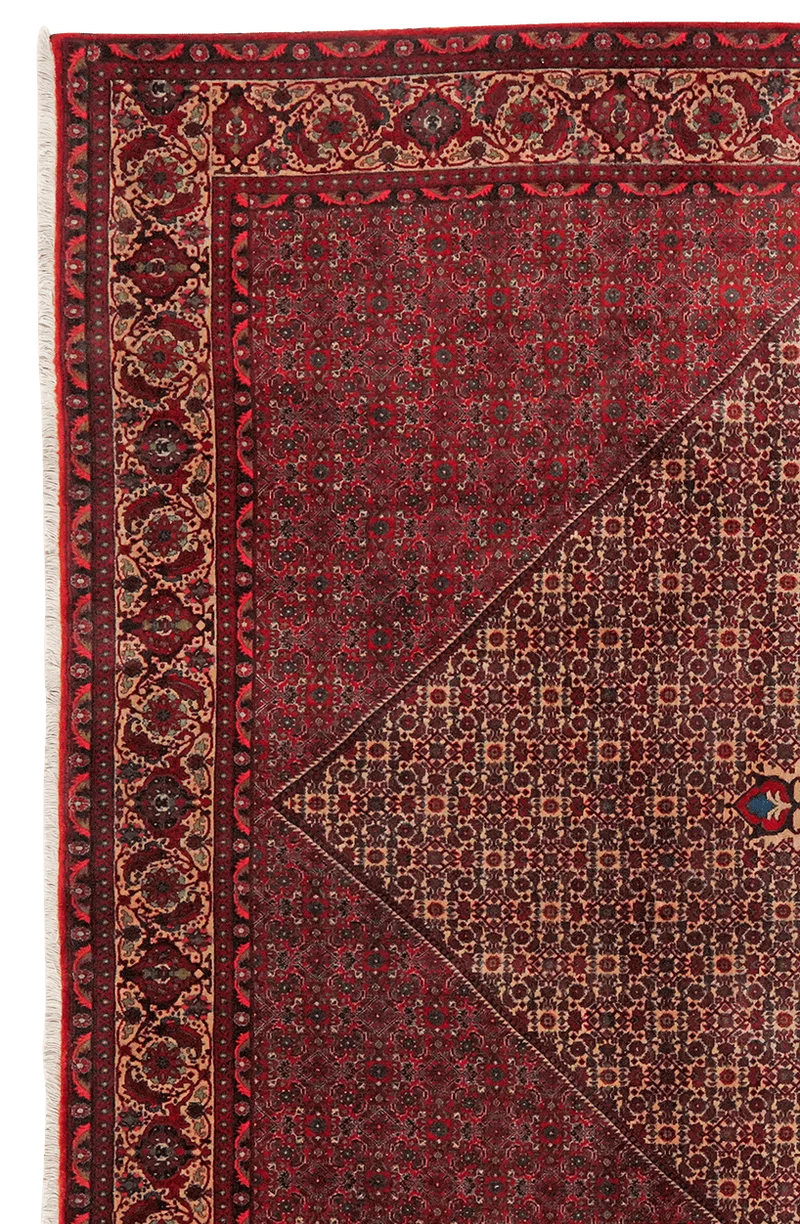 Bidjar · Handgeknüpft – Beige, 337x258 cm