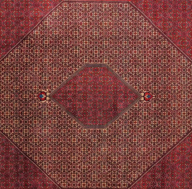 Bidjar · Handgeknüpft – Beige, 337x258 cm