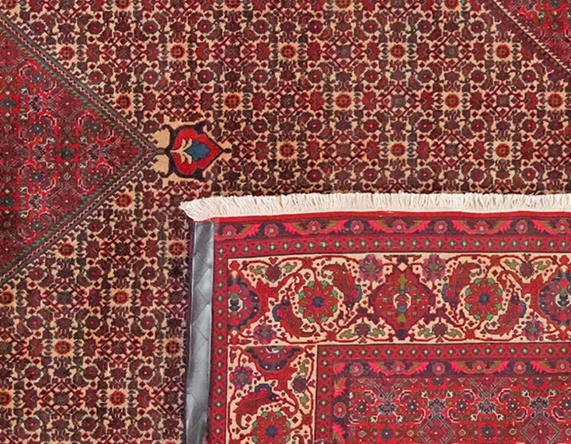 Bidjar · Handgeknüpft – Beige, 337x258 cm