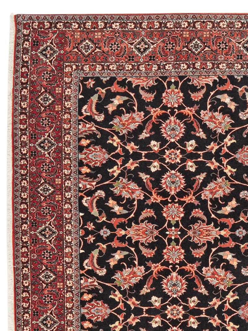 Bidjar Bookan · Handgeknüpft – Schwarz, 256x202 cm
