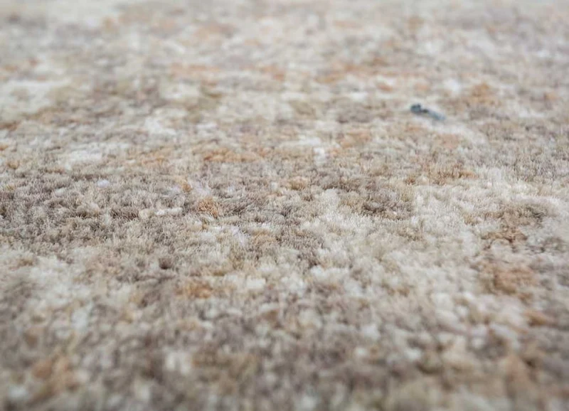 Teppich - 240 x 300 cm - dunkelbeige