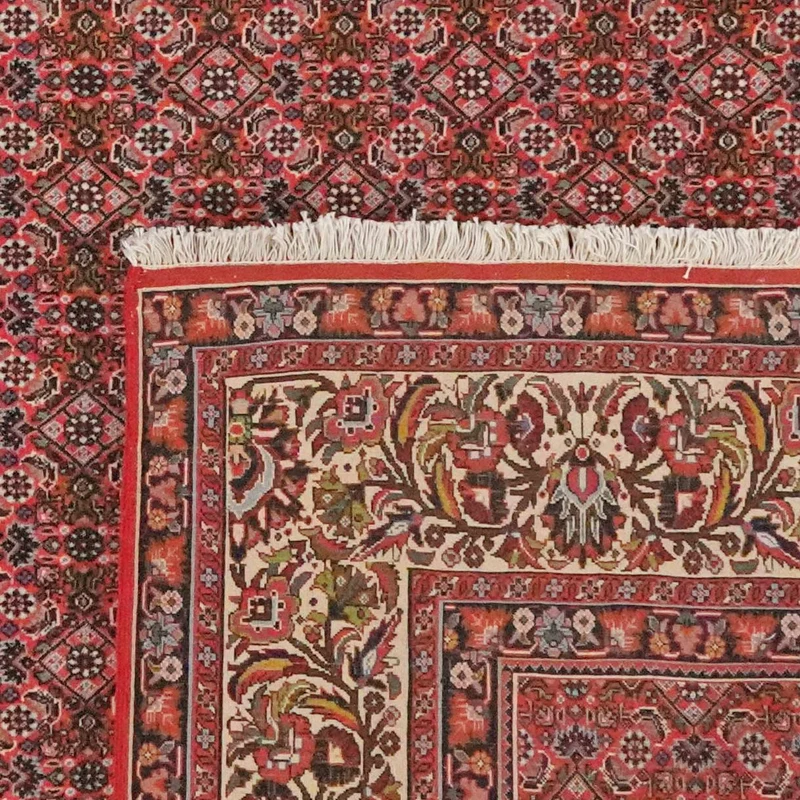 Bidjar · Handgeknüpft – Rot, 303x255 cm