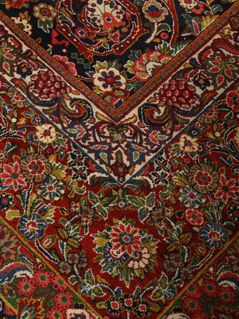Mohadjeran · Handgeknüpft – 544x314 cm