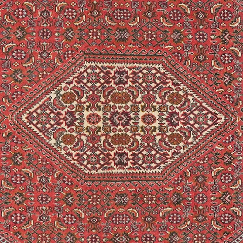 Bidjar Tekkab · Handgeknüpft – Rot, 162x94 cm
