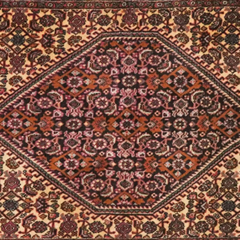 Bidjar Bookan · Handgeknüpft – Braun, 241x72 cm