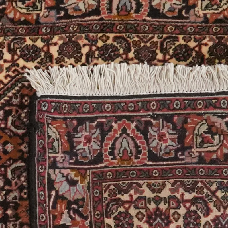 Bidjar Bookan · Handgeknüpft – Braun, 241x72 cm