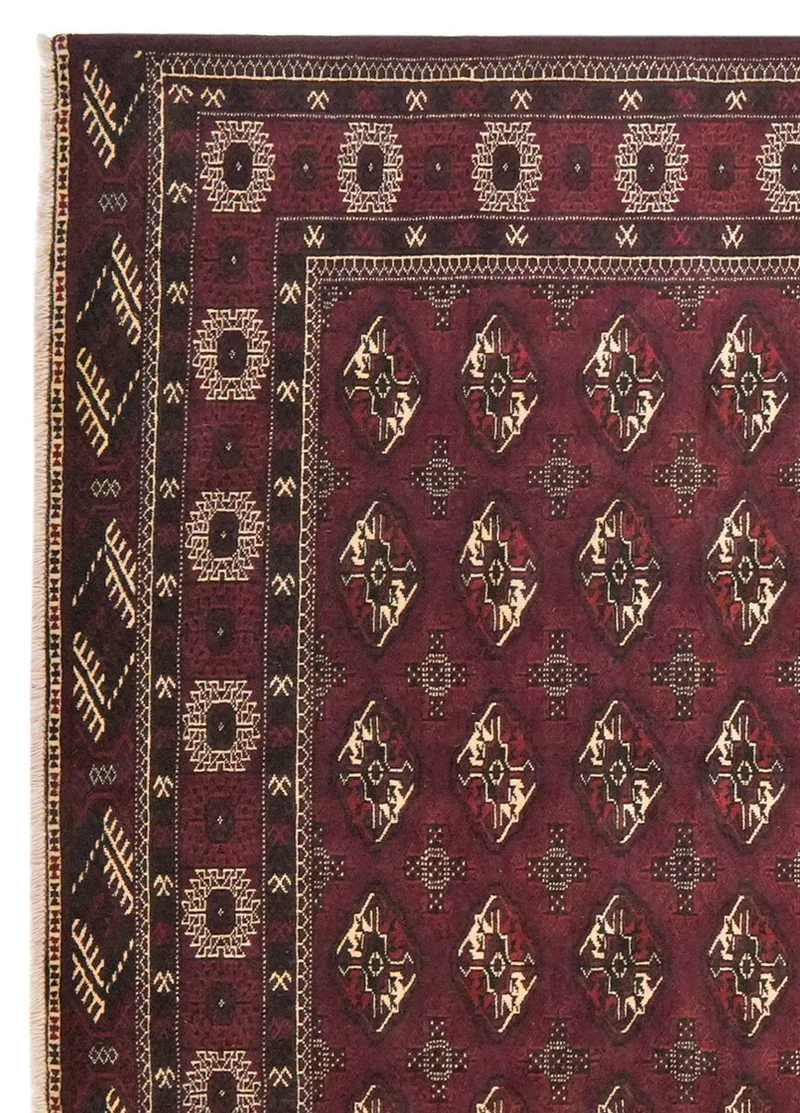 Turkman · Handgeknüpft – Braun, 263x202 cm