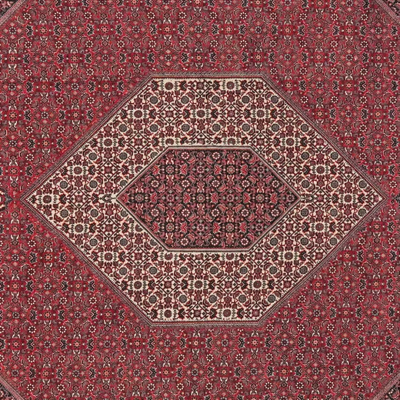 Bidjar · Handgeknüpft – Rot, 308x252 cm