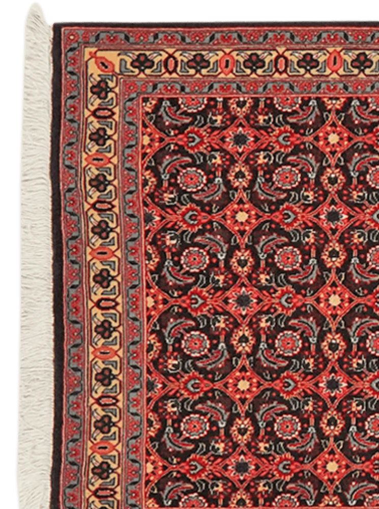 Tabriz 50 Raj · Handgeknüpft – Orange, 293x79 cm