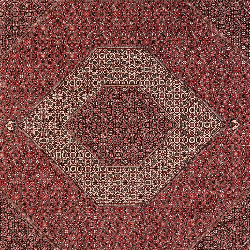 Bidjar · Handgeknüpft – Rot, 311x256 cm