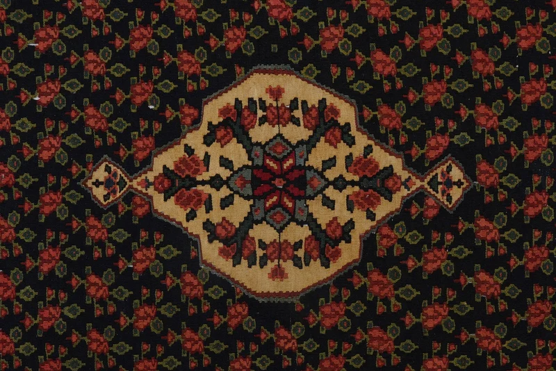 Kelim Bidjar · Handgewebt – Schwarz, 187x122 cm