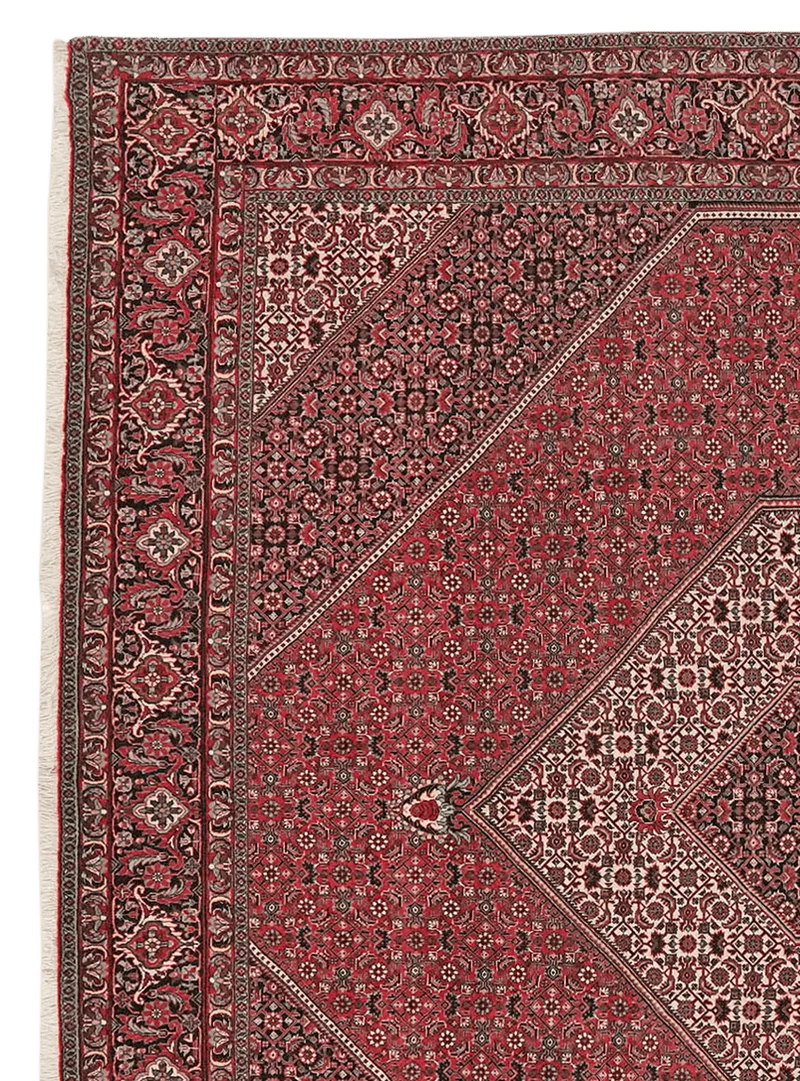 Bidjar · Handgeknüpft – Rot, 248x248 cm