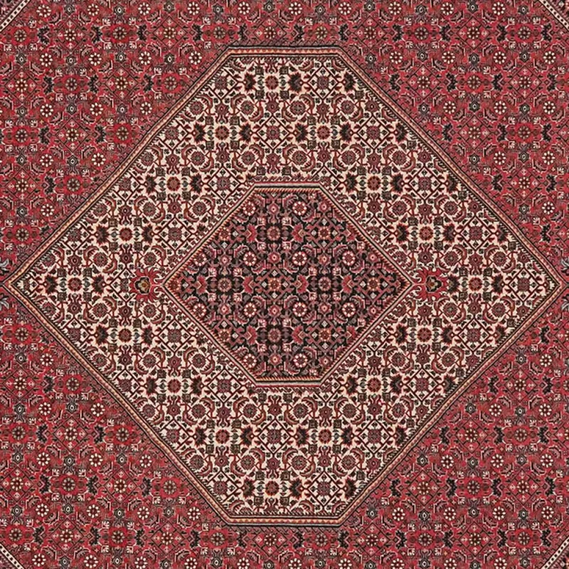 Bidjar · Handgeknüpft – Rot, 248x248 cm