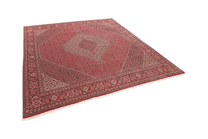 Bidjar · Handgeknüpft – Rot, 248x248 cm