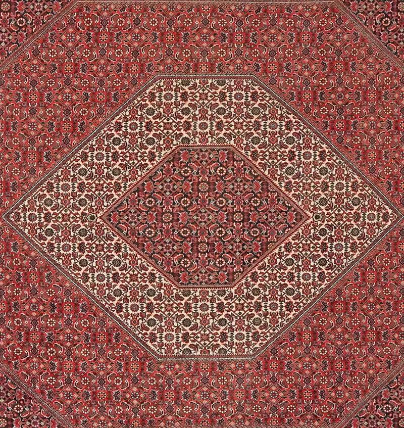 Bidjar · Handgeknüpft – Rot, 308x207 cm