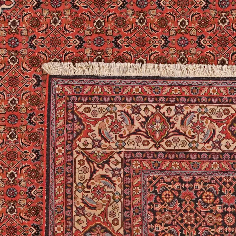 Bidjar Zandjan · Handgeknüpft – Rot, 393x298 cm