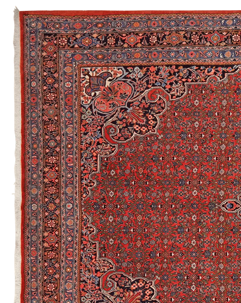 Bidjar · Handgeknüpft – Rot, 313x212 cm